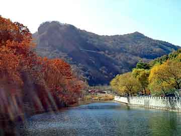 新澳天天开奖资料大全旅游团，晚秋黄梨苗价格